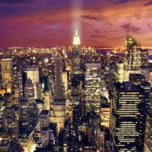 Meet your Posher, Izzy